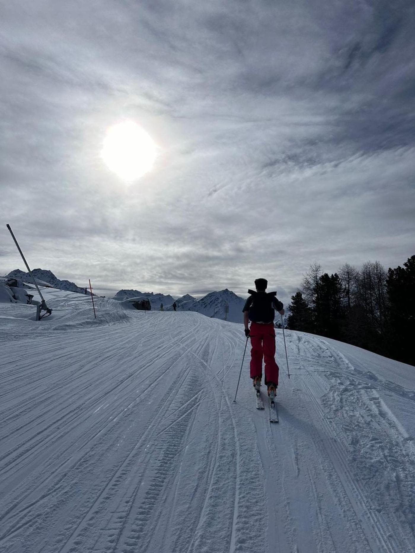 अपार्टमेंट Pilanous - E-alpine - Swiss Alps